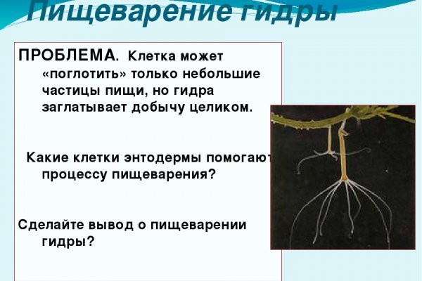 Найти ссылку на кракен