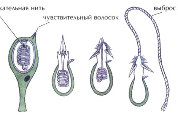 Кракен актуальная ссылка тор