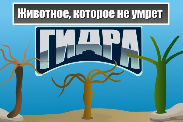 Ссылки на кракена и на мегу