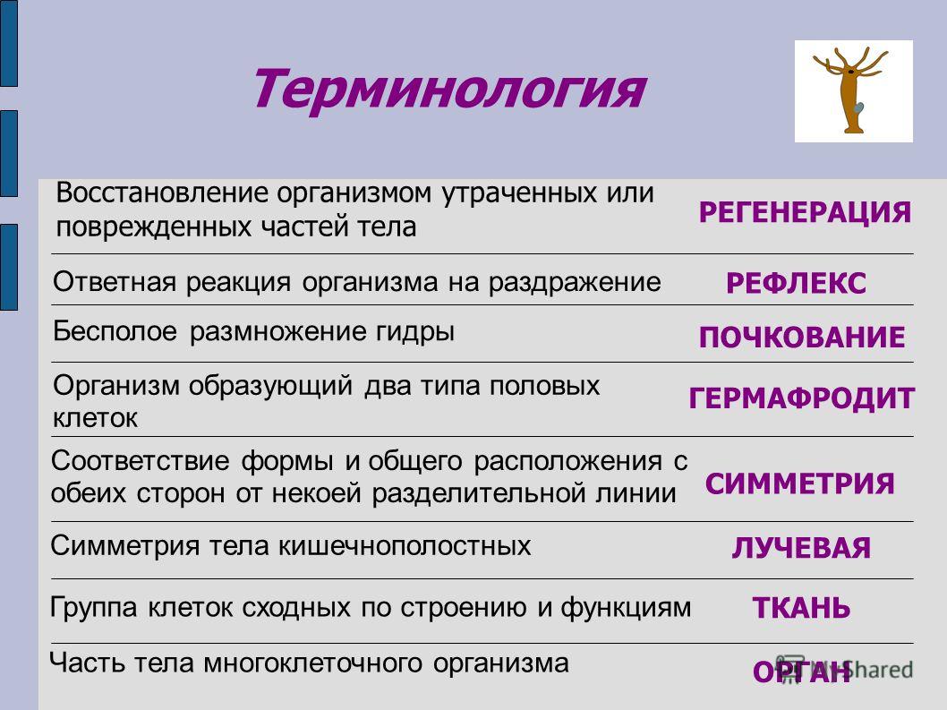 Кракен сайт зеркало рабочее на сегодня